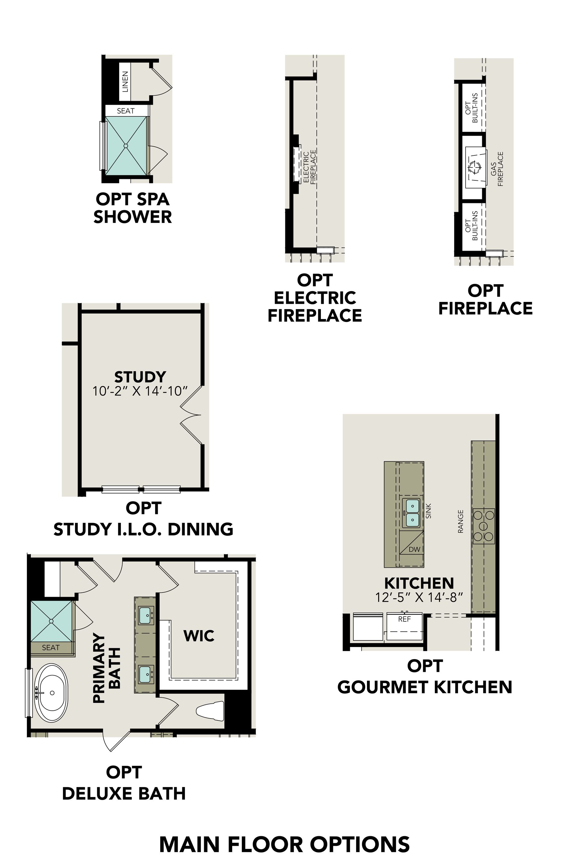 Main Floor Options