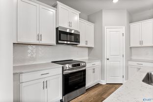 The Franklin C - Spragins Cove: Huntsville, Alabama - Davidson Homes
