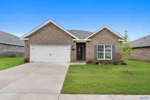 16708 Demi Drive (The Asheville C)