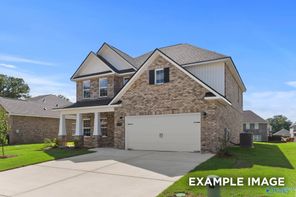 29468 Limestone Creek Way (The Chelsea C)