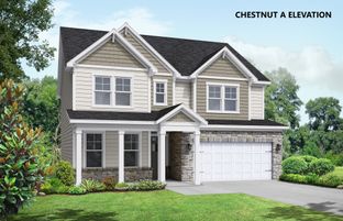 The Chestnut A - Enclave at Belmont: Belmont, North Carolina - Davidson Homes