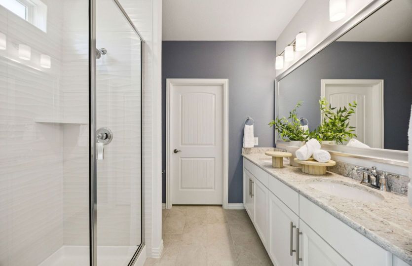 Large shower in owner's bath