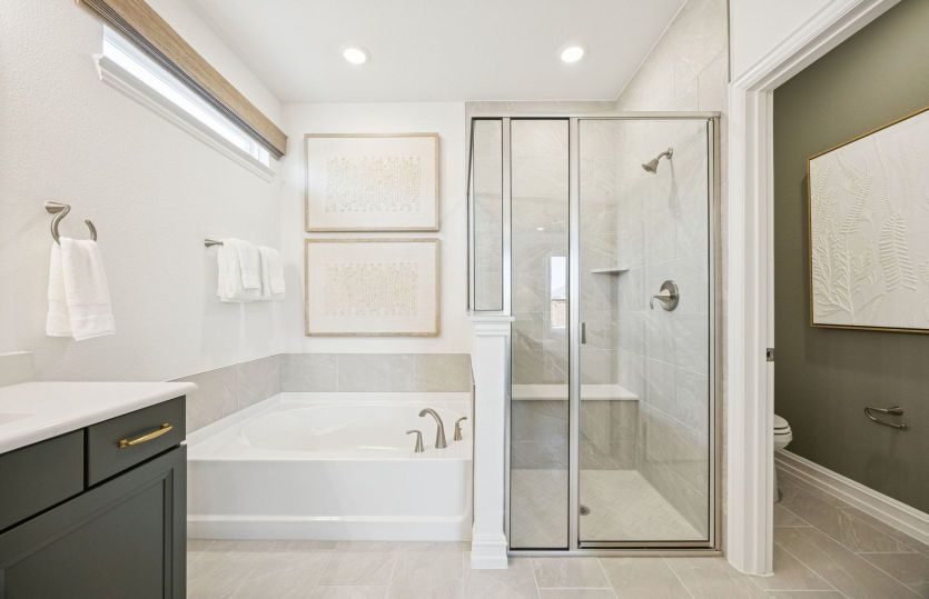 Owner's bath with separate tub and shower