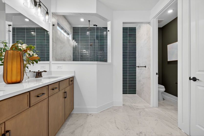 Owner's Bath