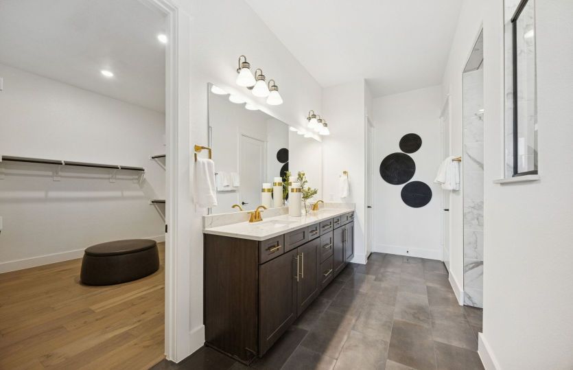 Owner's bath and walk-in closet
