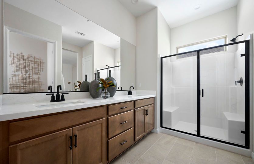 Owner's Bathroom