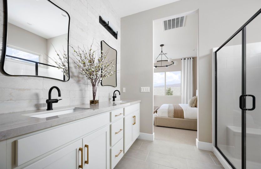 Owner's Bathroom