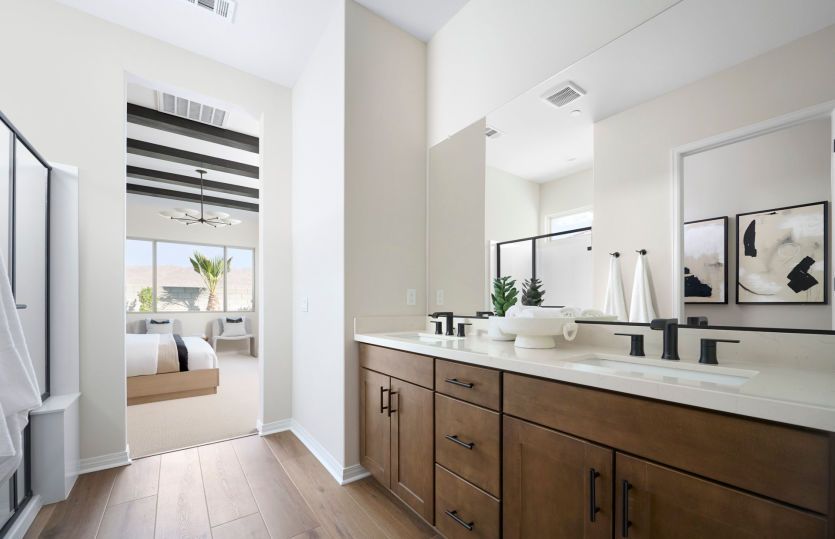 Owner's Bathroom