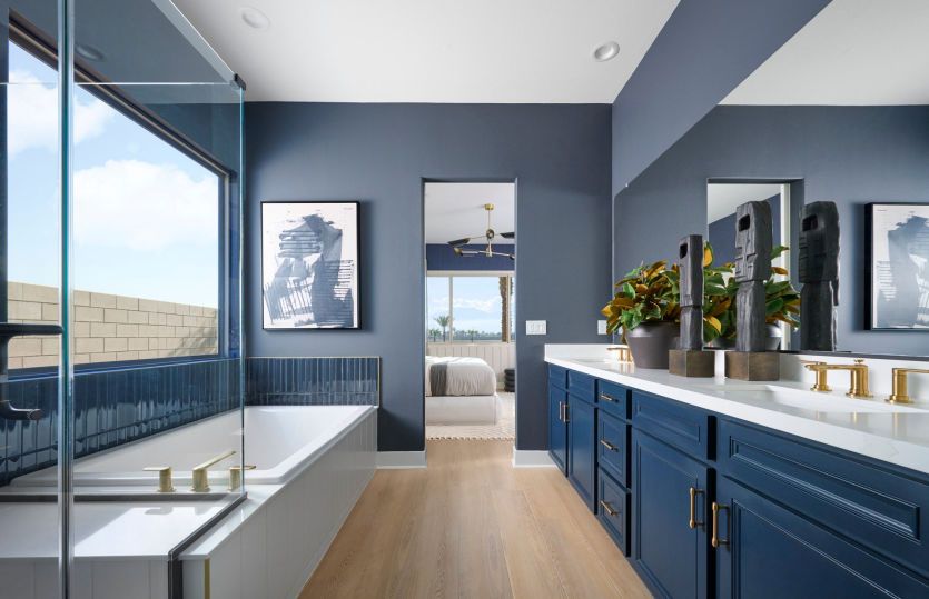 Owner's Bathroom