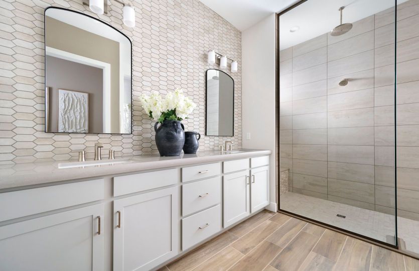 Owner's Bathroom