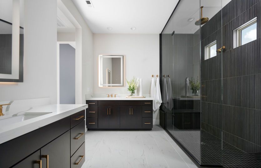 Owner's Bathroom