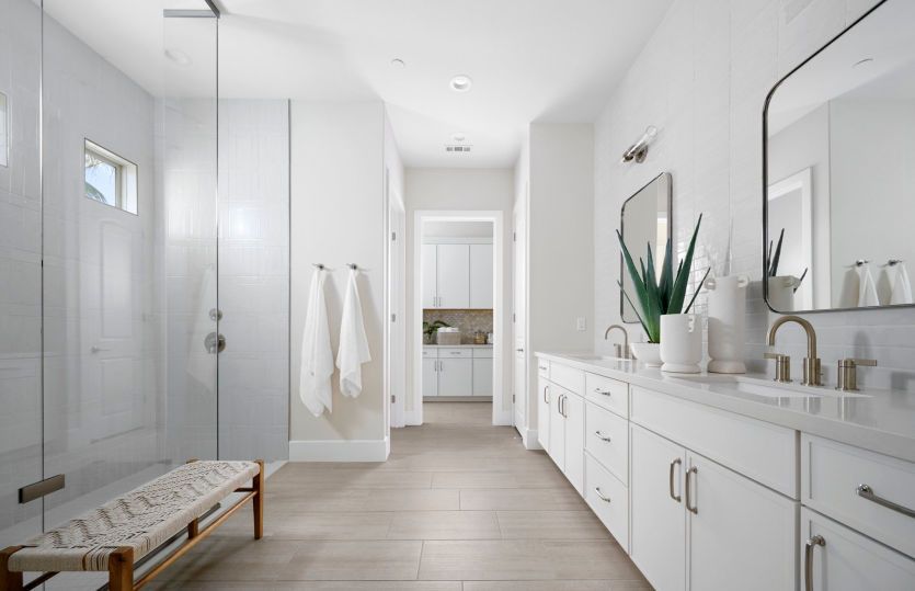 Owner's Bathroom
