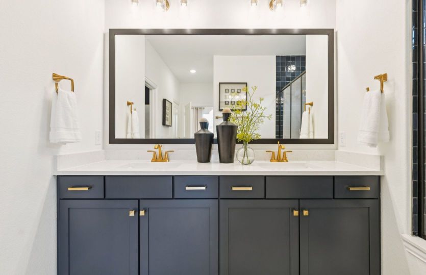 Double vanity in owner's bath