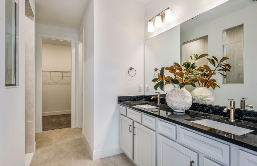 Spa-Like Owner's Bath