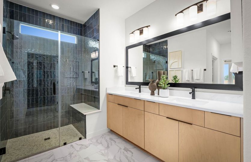Primary Bathroom-Representational Photo