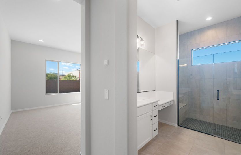 Owner's Bath
