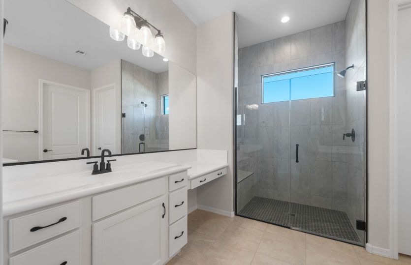 Owner's Bath