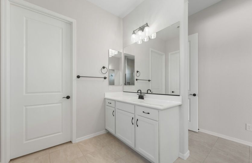 Owner's Bath