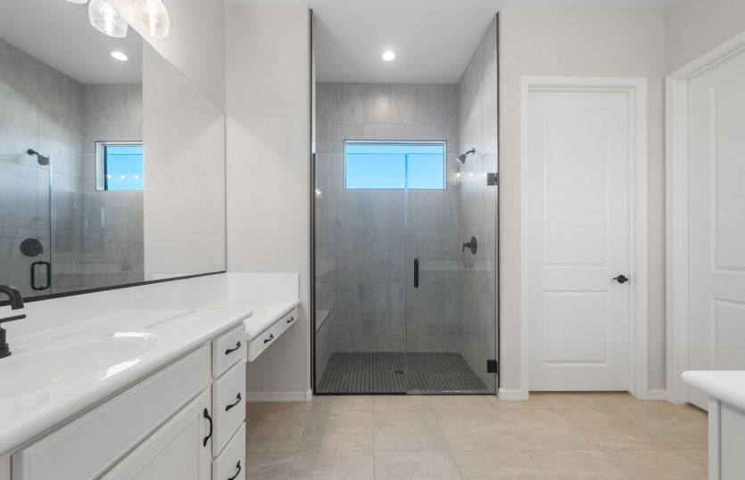 Owner's Bath