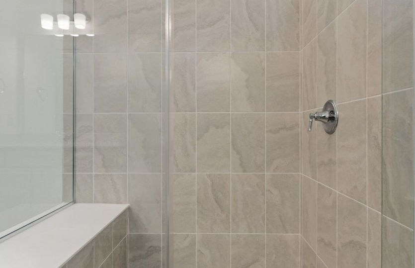Owner's Walk-In Shower