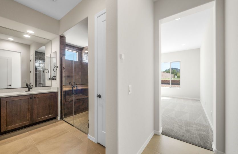 Owner's Bath
