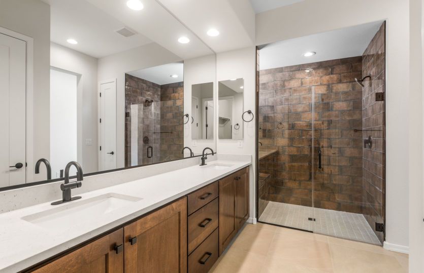 Owner's Bath