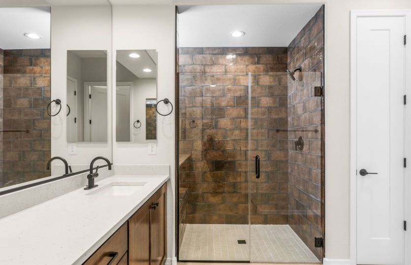 Owner's Bath