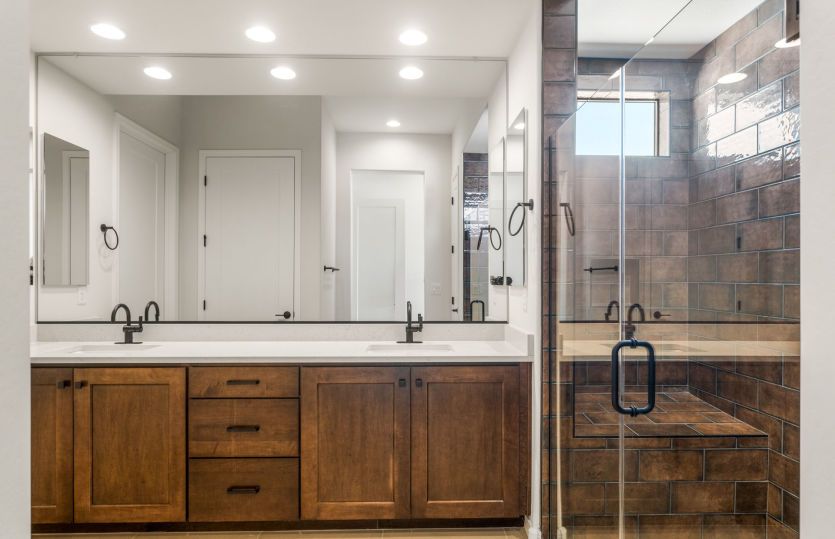 Owner's Bath