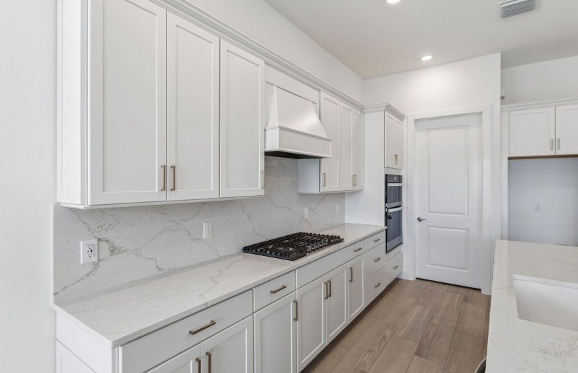 Stylish Gourmet Kitchen