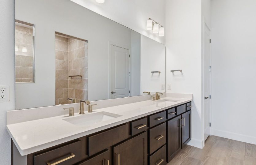Owner's Bath
