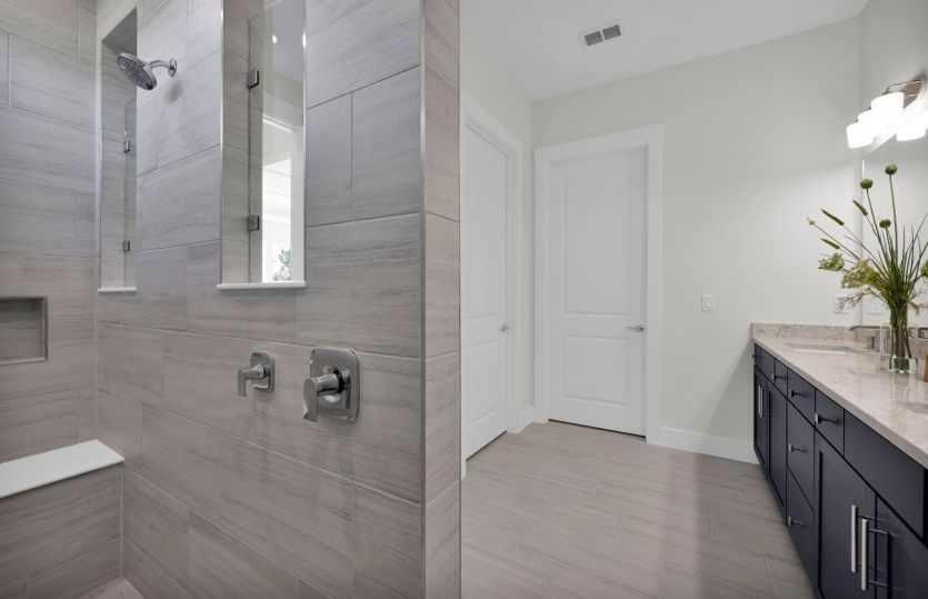Renown | Owner's Walk-In Shower
