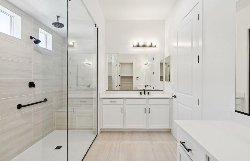 Owner's bathroom