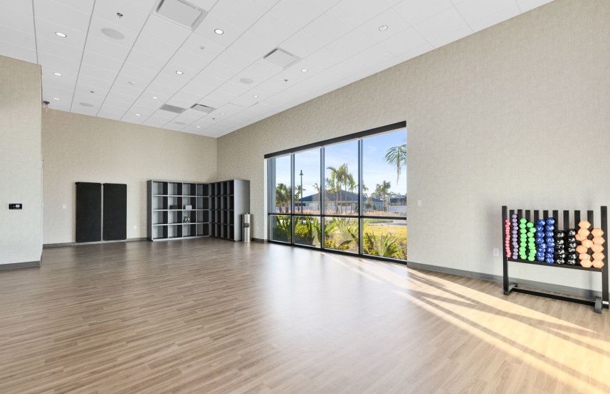 Movement Studio