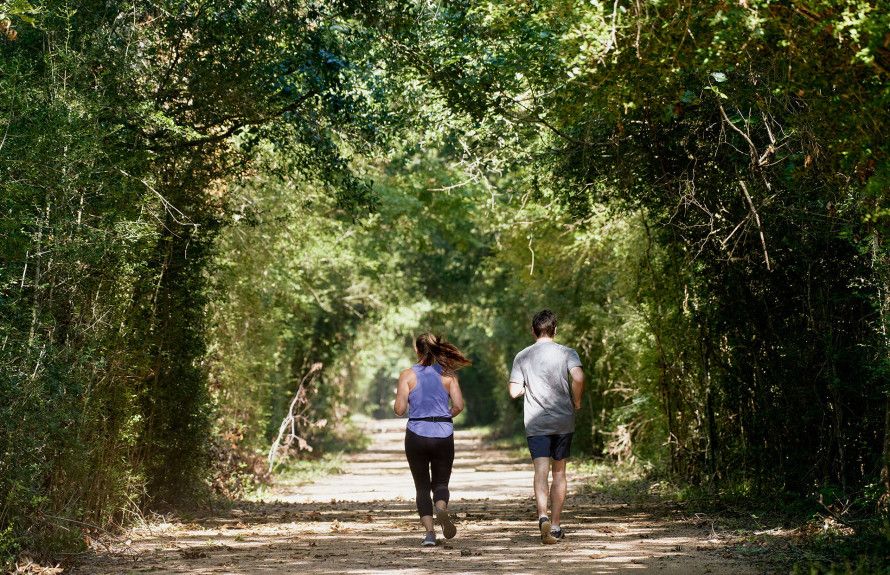 Walking Trails