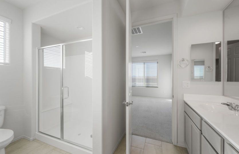 Owner's Bath