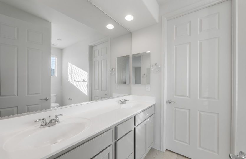 Owner's Bath
