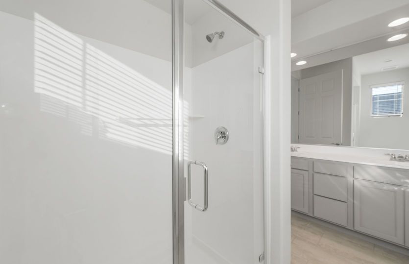 Owner's Bath