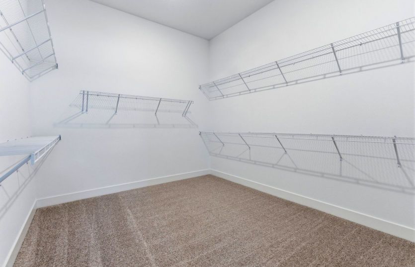 Owner's Walk-In Closet