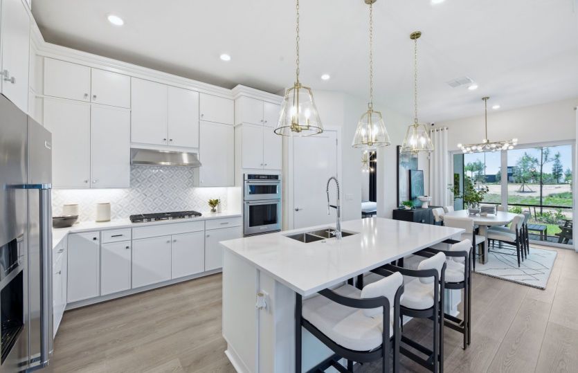 Luxurious Kitchen