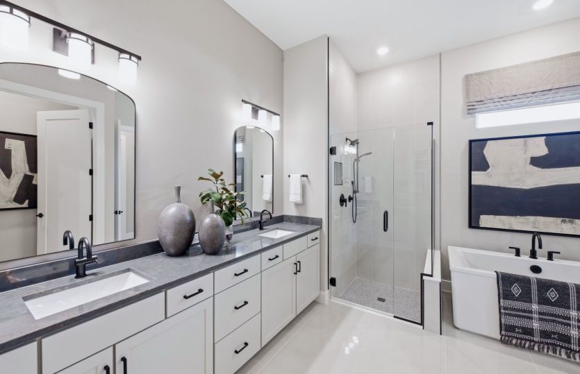 Owner's Bathroom