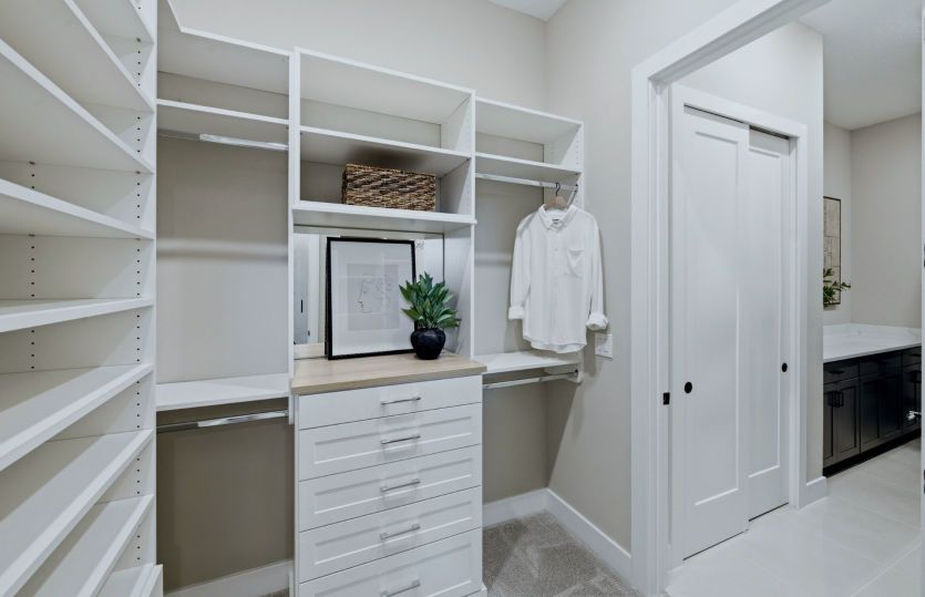 Owner's Walk-In Closet