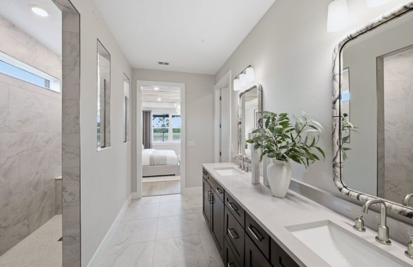 Owner's Bath with Walk-In Shower