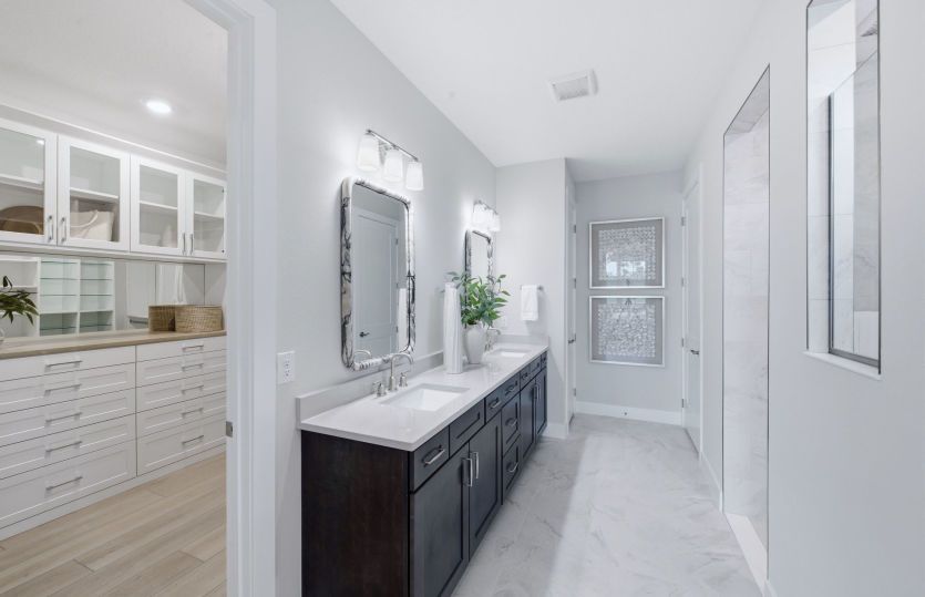Owner's Bath