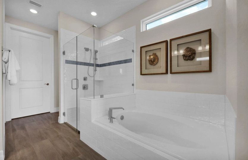 Model Representation | Owner's Bathroom