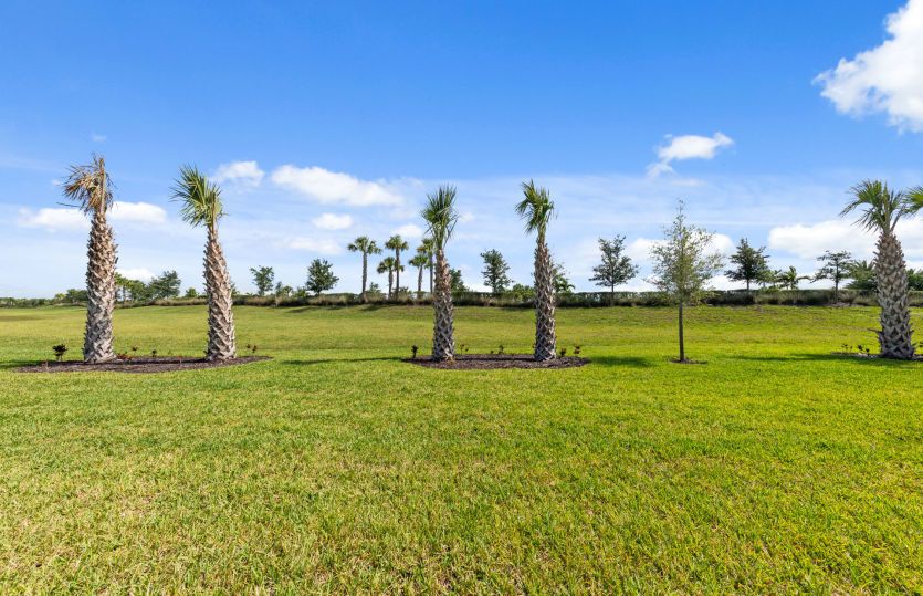 View from this home
