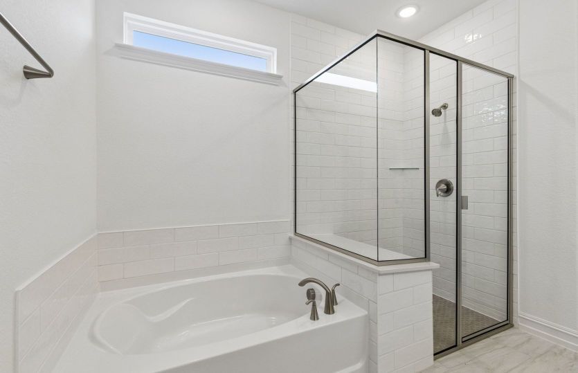 Separatee tub and shower in owners bath