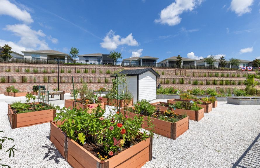 Visit Our Community Garden