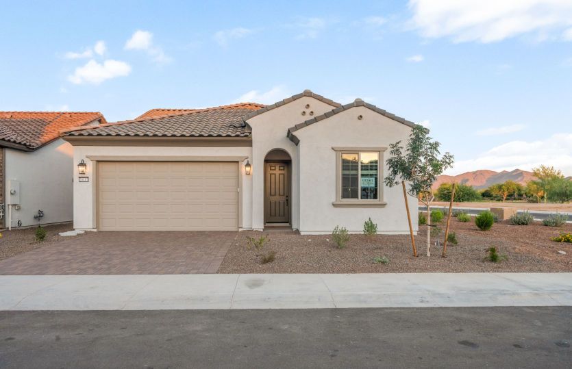 Bayley - Sun City Festival: Buckeye, Arizona - Del Webb