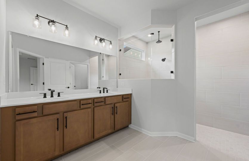 Owner's Bath
