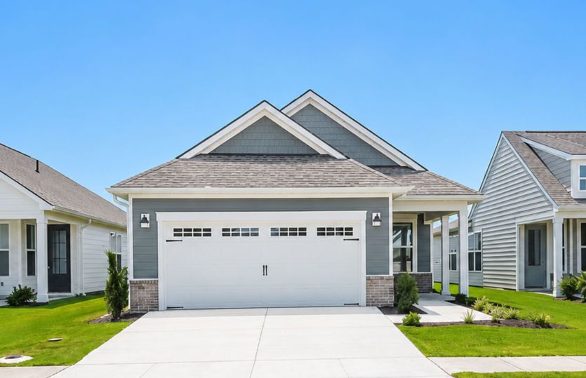 4169 Yellow Flag Iris St (Contour)